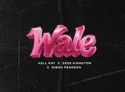 Wale cover
